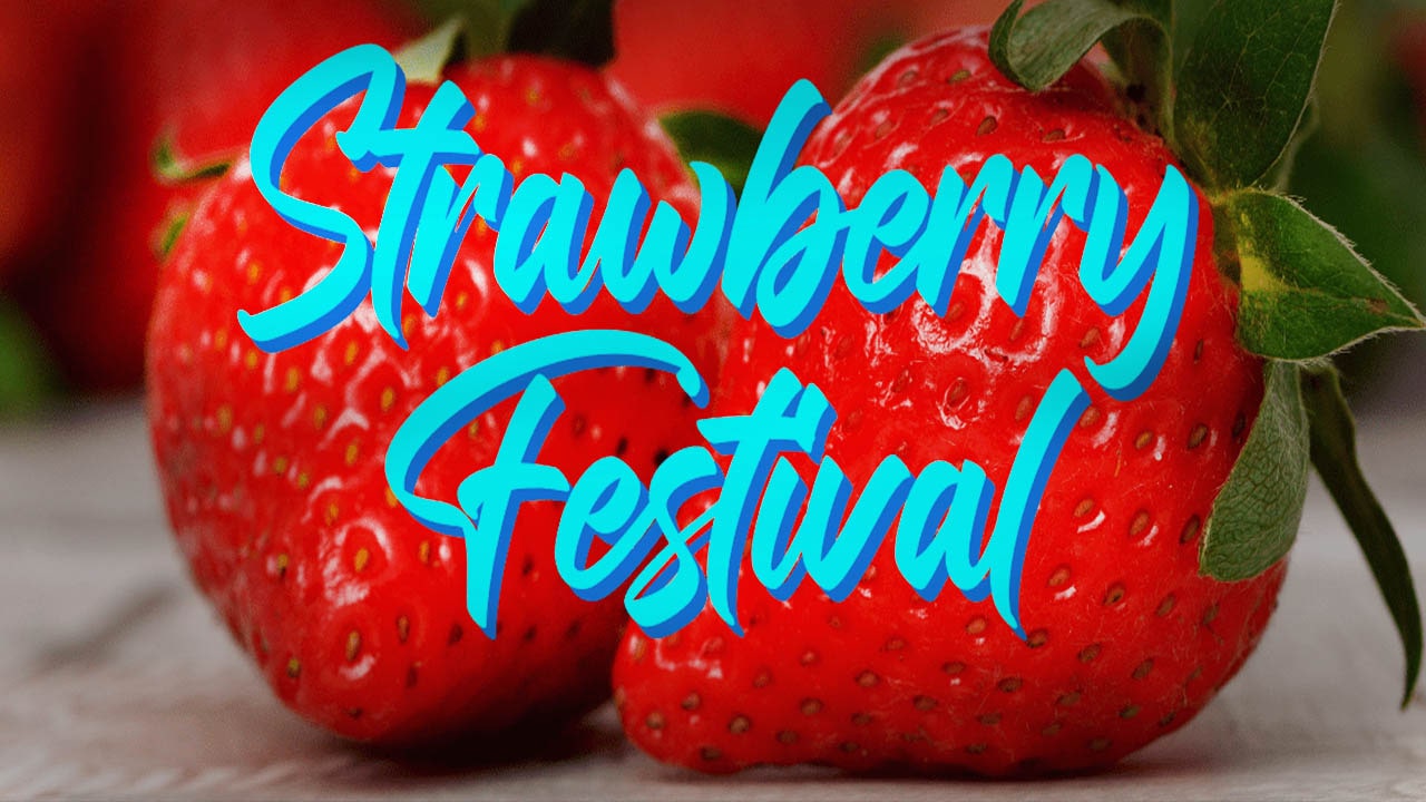 Plant City Strawberry Festival 2025 Lineup Elle Nissie