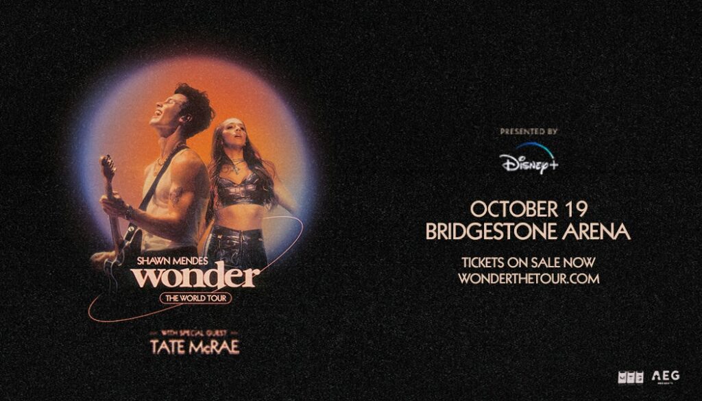 Shawn Mendes Tour 2024