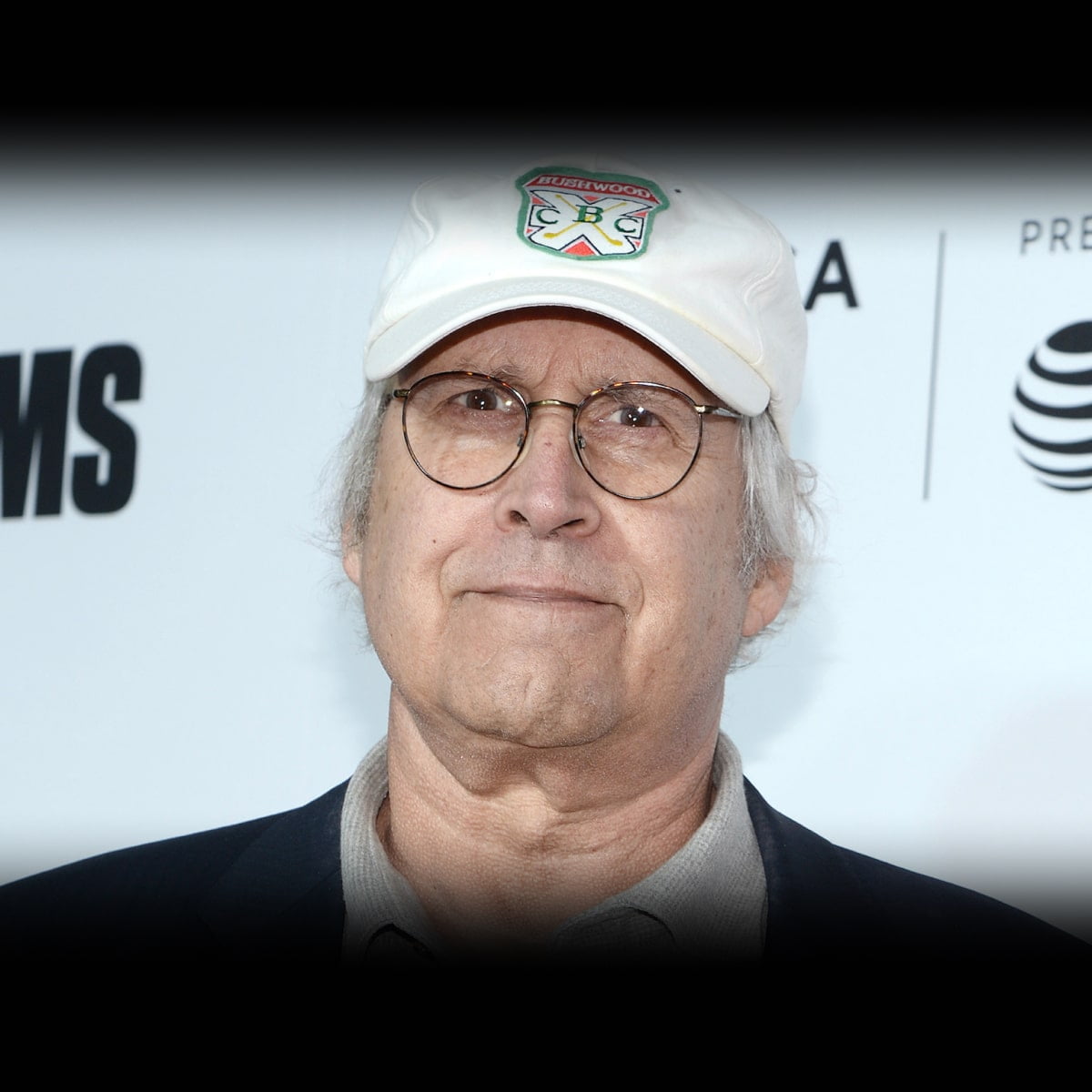 Chevy Chase Net Worth 2025 Unveiling the Wealth of a Hollywood Legend